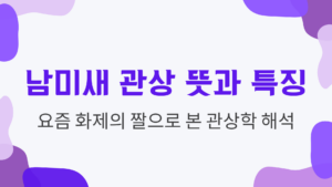 남미새 관상 뜻과 특징 요즘 화제의 짤으로 본 관상학 해석