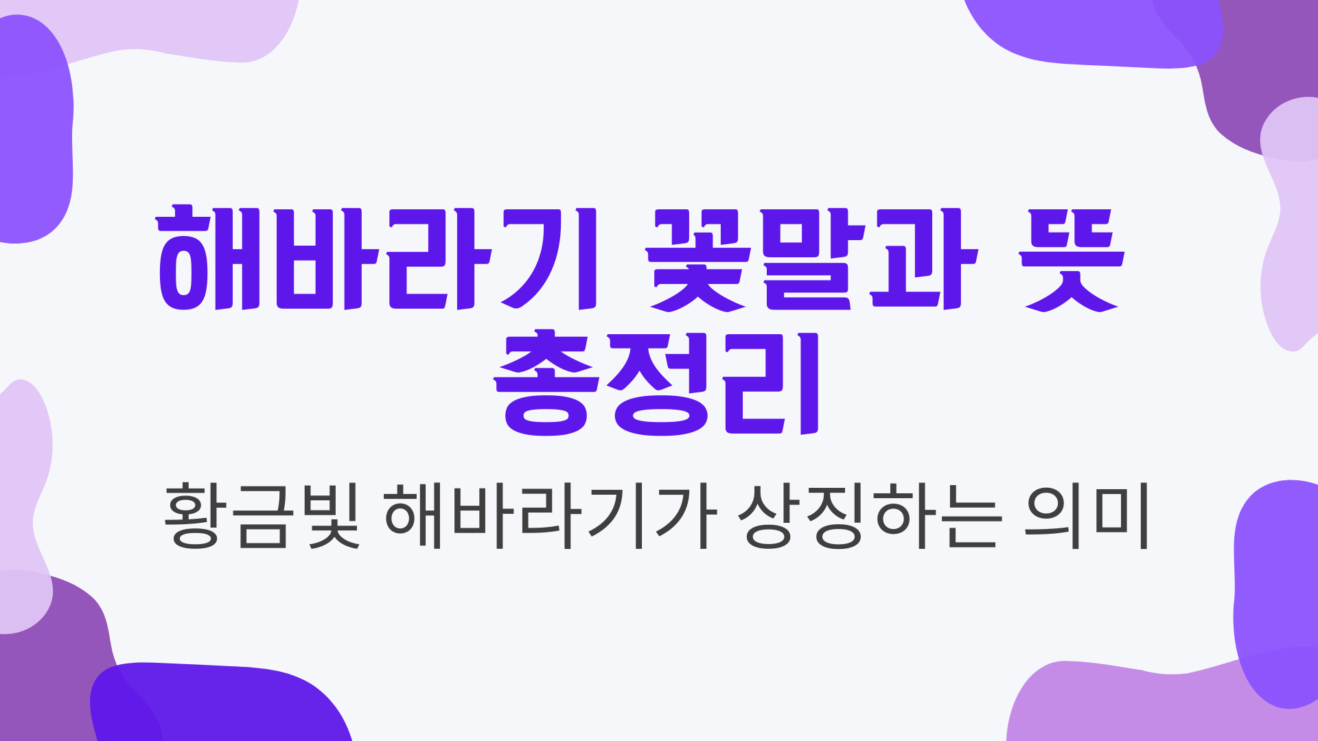 해바라기 꽃말과 뜻 총정리 – 황금빛 해바라기가 상징하는 의미
