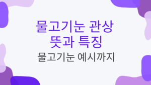 물고기눈 관상 뜻과 특징 - 물고기눈 예시까지