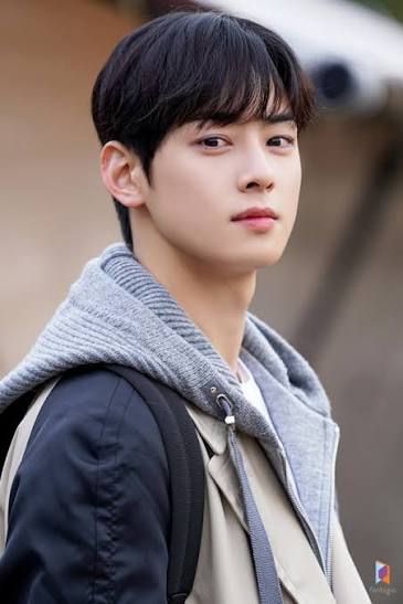차은우 용안